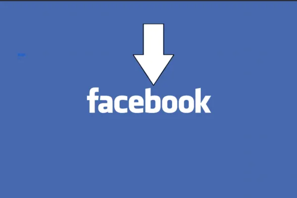 How To Download Facebook Videos Online? (Public and Private Videos)