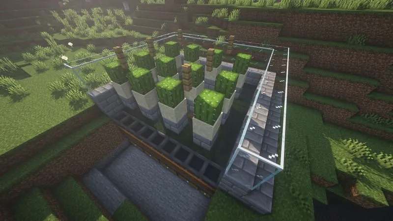 Minecraft: How to make an easy automatic bonemeal farm