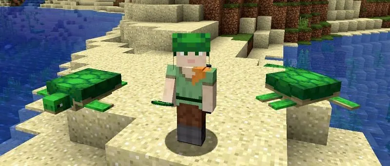 Minecraft: Pocket Edition - How to get turtle shells